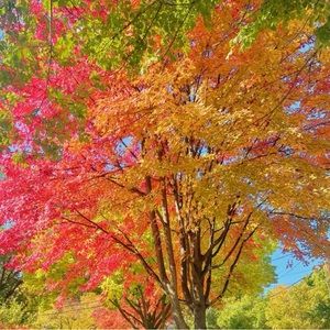 Meet your Posher, Elle